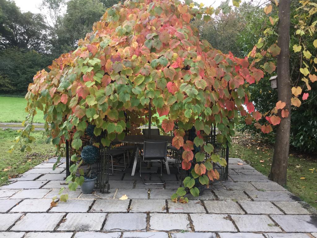 Homestead B&B Burgess Hill Экстерьер фото